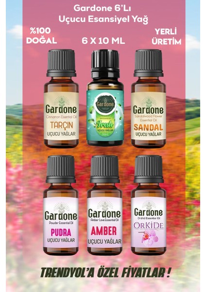 Altılı Set Uçucu Yağ Buhurdanlık Yağı Hava Nemlendirici Aroma Difüzörü Kokusu Esans 6*10ML