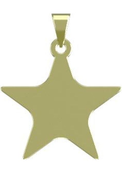 14 Ayar Altın Yıldız Kolye Ucu 0.5 Gr, KC15408 Kodlu