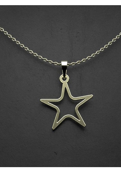 14 Ayar Altın Yıldız Kolye Ucu 0.5 Gr, KC15473 Kodlu