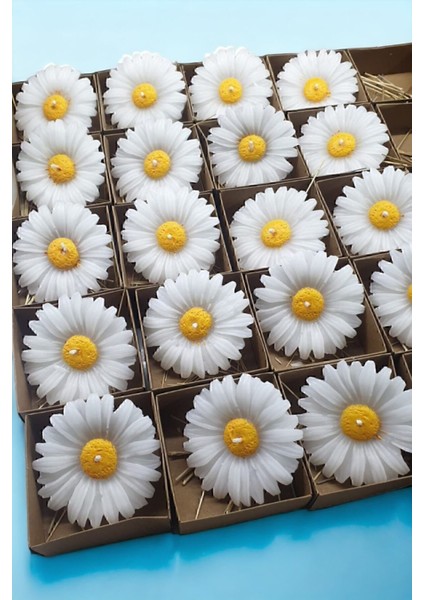 15 Adet Beyaz Kraft Kutulu Papatya Mum Seti, Doğal ve Şık Aydınlatma Seçeneği