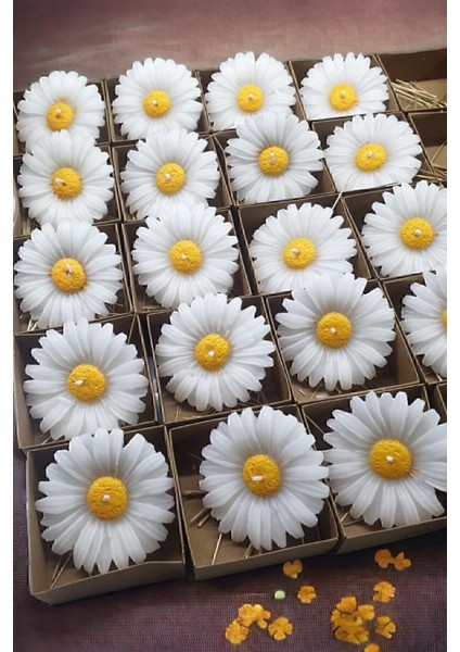 15 Adet Beyaz Kraft Kutulu Papatya Mum Seti, Doğal ve Şık Aydınlatma Seçeneği fiyatları