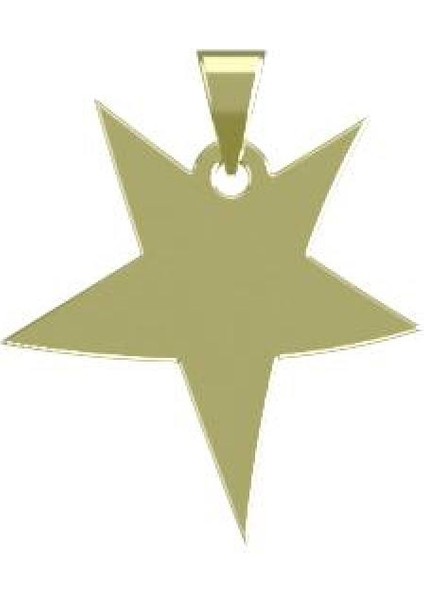 14 Ayar Altın Yıldız Kolye Ucu 0.5 Gr, KC15366 Kodlu