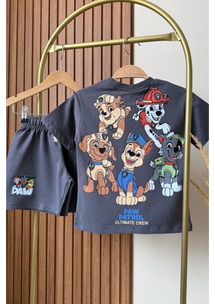 Erkek Çocuk Pamuklu Kumaş Ön Arka Baskılı Tshirt ve Şort Alt Üst Takım modelleri