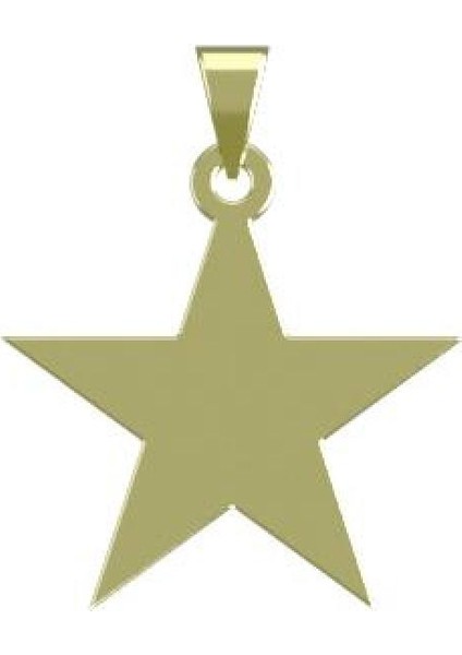 14 Ayar Altın Yıldız Kolye Ucu 0.5 Gr, KC15399 Kodlu