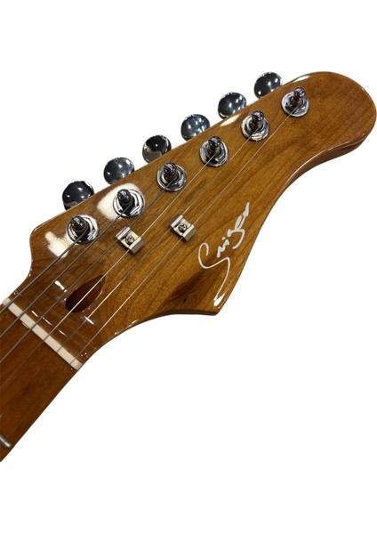 Elektro Gitar L-G2-I3 Bk Silver modelleri