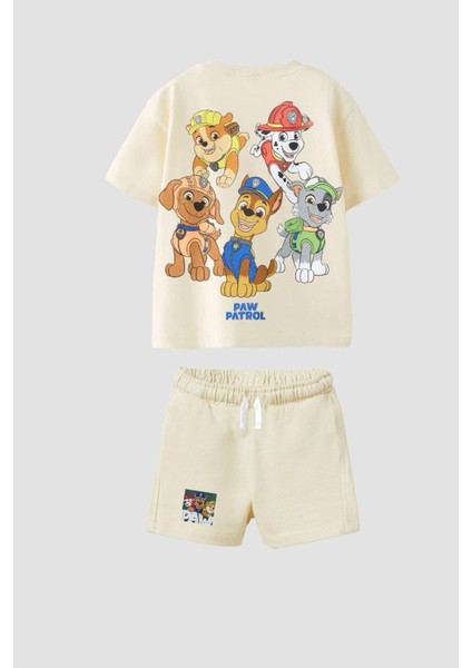 Erkek Çocuk Pamuklu Kumaş Ön Arka Baskılı Tshirt ve Şort Alt Üst Takım fiyatları