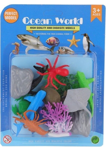 H6 Vakumlu Deniz Hayvanları