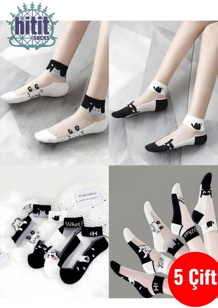 Kadın 5 Çift Karışık Kedi Desenli Tül Çorap Beyaz