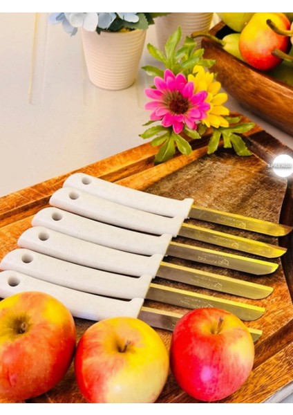 Orijinal 2'li Solingen Tırtıklı Meyve ve Sebze Bıçak Seti indirimleri