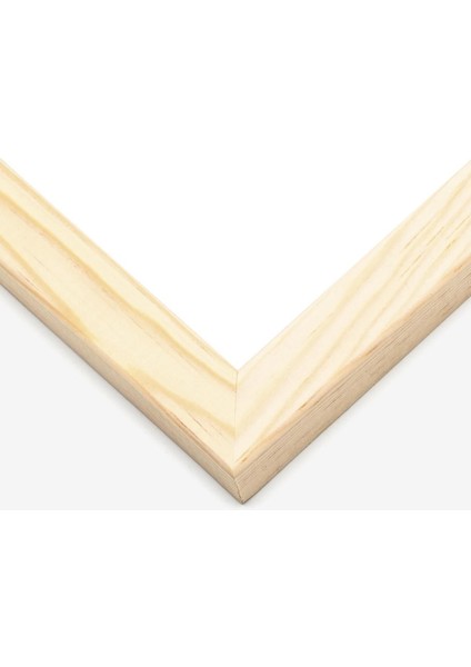 Yeşil Ahşap Çerçeveli 3'lü Duvar Tablosu Seti, Şık ve Doğal Dekorasyon fırsatları