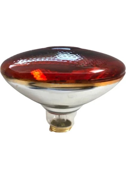 4 Adet 250 Watt Infrared Isıtıcı Lamba fiyatları