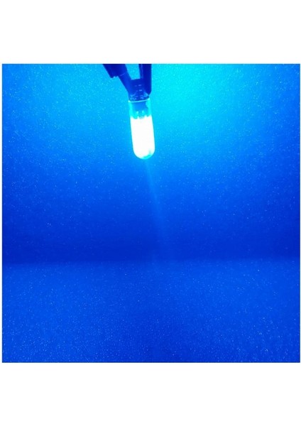 1 Takım 12V T10 Dipsiz LED Buz Mavi Roof LED Ice Blue (Isınma Yapmaz) fırsatları