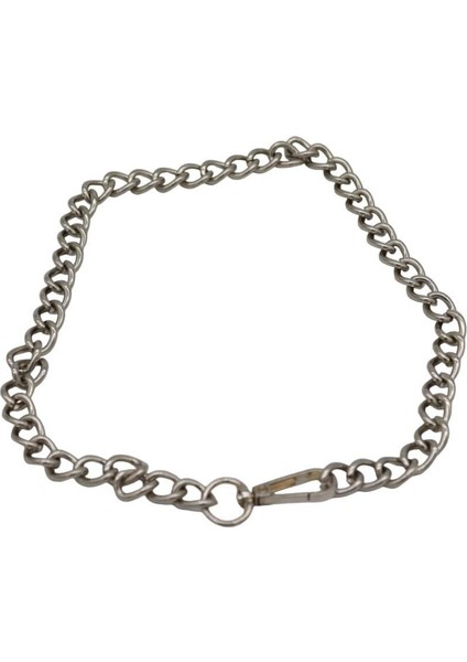 Küçük ve Orta Irk Ayarlanabilir Köpek Kolyesi (50 Cm)