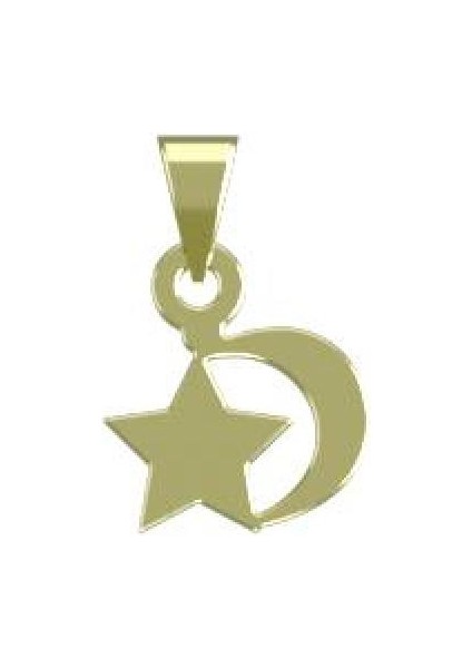 14 Ayar Altın Yıldız Kolye Ucu 0.5 Gr, KC14699 Kodlu
