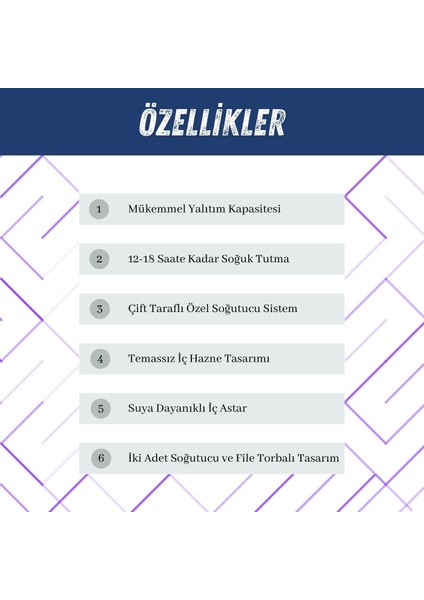 Aps Insülin Taşıma Çantası Çift Bölmeli Yüksek Kalite Insülin Taşıma Çantası fiyatları