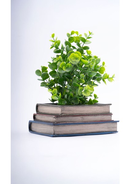 Dekoratif Kitap Saksı modelleri