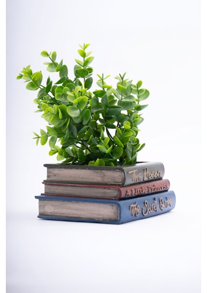 Dekoratif Kitap Saksı fırsatları