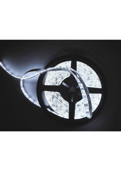 5 Metre Iç Mekan LED Şerit Aydınlatma Tabela Işık Lambası modelleri