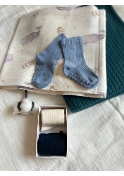 Organik Pamuk 3'lü Kutulu Premium Yenidoğan Zemze Bebek Çorabı fiyatları