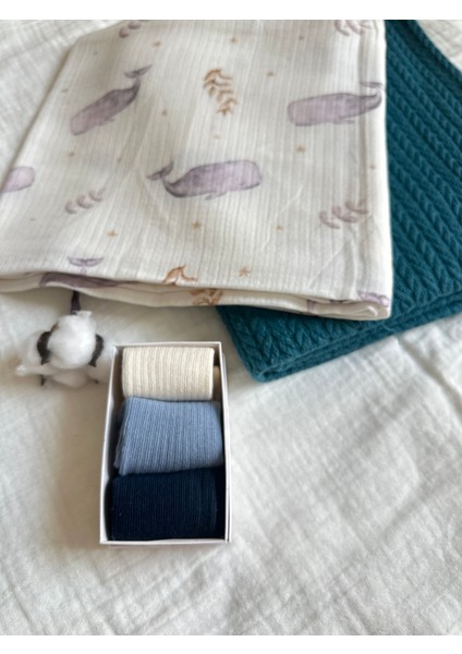 Organik Pamuk 3'lü Kutulu Premium Yenidoğan Zemze Bebek Çorabı