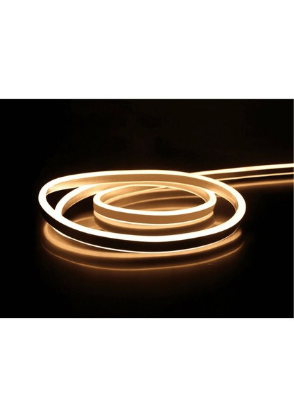 5 Metre Çok Renkli LED Neon Hortum Dış Mekan 12V Gün Işığı