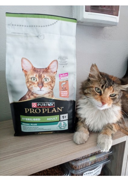 Kısırlaştırılmış Kuru Kedi Mama Somonlu 1.5 kg (2 ADET KEDİ ÖDÜL YAŞ MAMA HEDİYE)