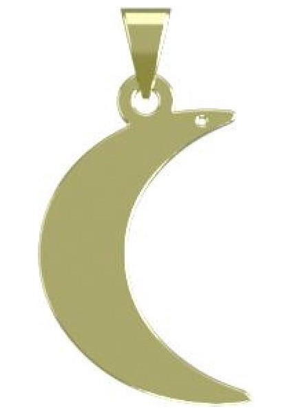 14 Ayar Altın Ay Kolye Ucu 1 Gr, KC15074 Kodlu