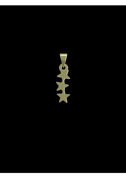 14 Ayar Altın Yıldız Kolye Ucu 1 Gr, KC12040 Kodlu