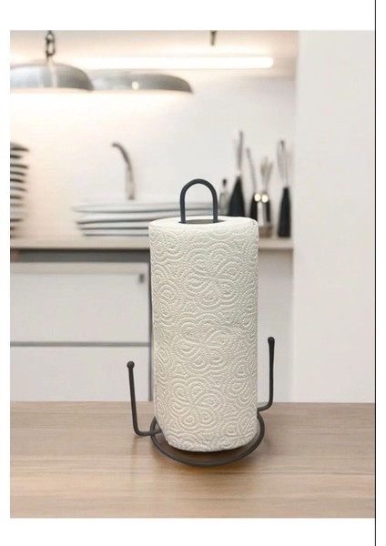 Siyah Paslanmaz Metal Rulo Kağıt Havluluk ve Peçetelik Seti fiyatları