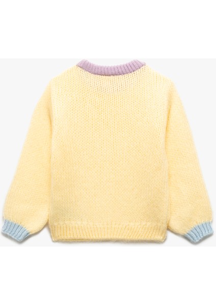 Uzun Kollu Bisiklet Yaka Renk Bloklu Triko Kazak fiyatları