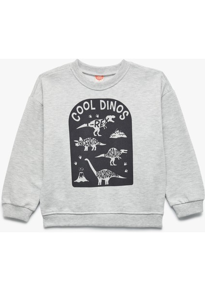 Baskılı Şardonlu Uzun Kollu Bisiklet Yaka Sweatshirt