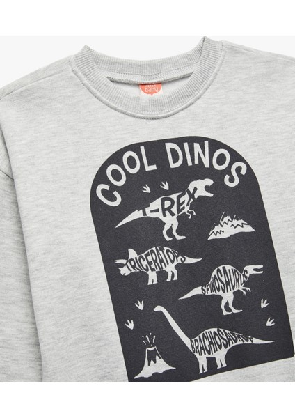 Baskılı Şardonlu Uzun Kollu Bisiklet Yaka Sweatshirt modelleri