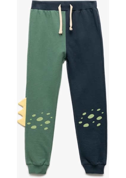 Şardonlu Renk Bloklu Dinozor Detaylı Pamuklu Eşofman Altı