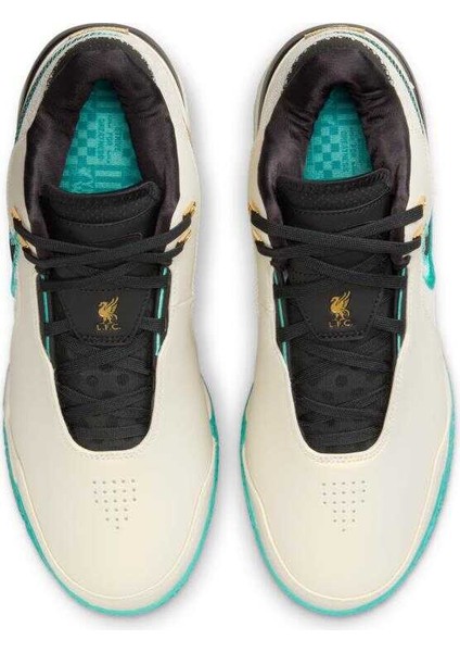 Zoom Lebron Nxxt Gen Ampd Erkek Basketbol Ayakkabısı FJ1566-101 indirimleri