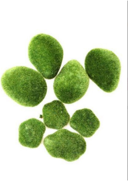 Ipek Hobi Teraryum Doğal Görünümlü Köpük Taş Yosun 8li Paket