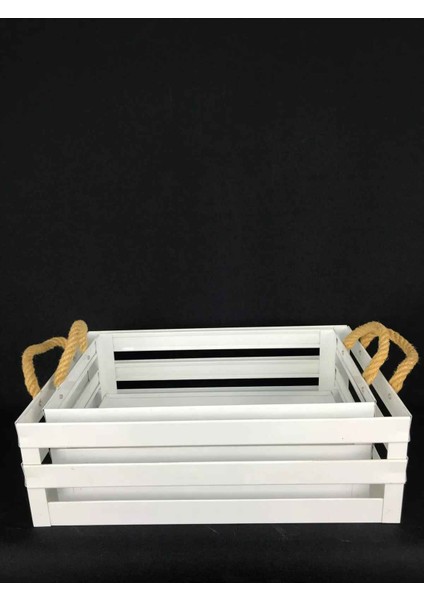 Çok Amaçlı Metal Meyvelik ve Çiçeklik Kasası Ikili fiyatları