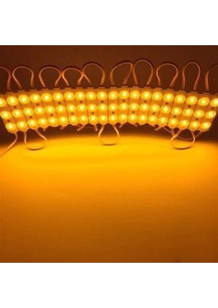 20 Adet 1,2W Mercekli Modül LED Tabela Ledi 12V, Parlak ve Enerji Tasarruflu Işıklandırma