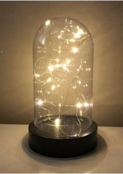 Turuncu Ters Fanus Plastik ve Mika Cam Teraryum, Peri Ledli, 3 Metre Uzunluk