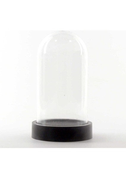 Turuncu Ters Fanus Plastik ve Mika Cam Teraryum, Peri Ledli, 3 Metre Uzunluk fiyatları