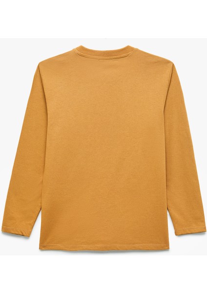 Dinozor Baskılı Uzun Kollu Bisiklet Yaka Pamuklu Tişört fiyatları