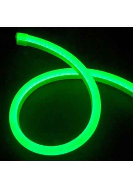 220V Neon LED Yeşil 8X16 Mm, Parlak ve Enerjik Aydınlatma Için Ideal Seçenek modelleri