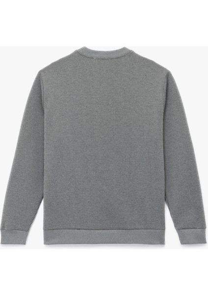 Dokulu Uzun Kollu Basic Bisiklet Yaka Sweatshirt fiyatları