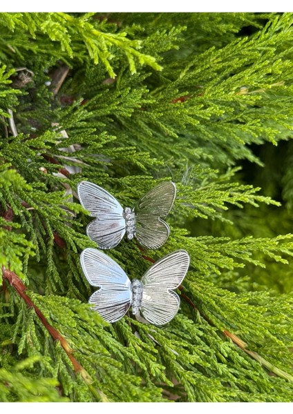 Gümüş Renk Kelebek Figürlü Taş Detaylı Küpe – 1 Çift