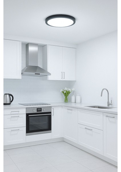 Şık Siyah Metal Tavan LED Lamba, Buz Beyaz Işık, Modern Tasarım