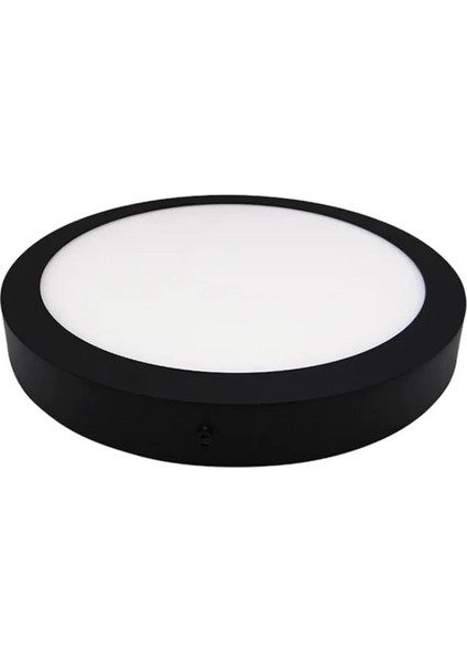 Şık Siyah Metal Tavan LED Lamba, Buz Beyaz Işık, Modern Tasarım fiyatları