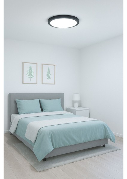 Şık Siyah Metal Tavan LED Lamba, Buz Beyaz Işık, Modern Tasarım modelleri