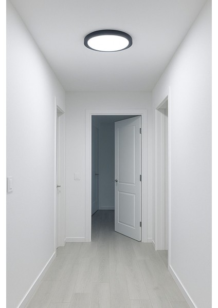 Şık Siyah Metal Tavan LED Lamba, Buz Beyaz Işık, Modern Tasarım