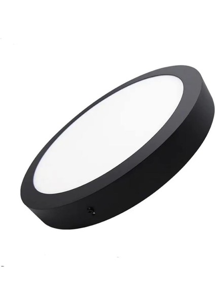 Şık Siyah Metal Tavan LED Lamba, Buz Beyaz Işık, Modern Tasarım