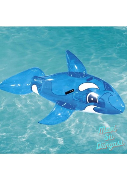 Renkli Balina Temalı Şeffaf Yüzeyli Şişme Havuz, Pompa Hediyeli, 157X94 cm modelleri