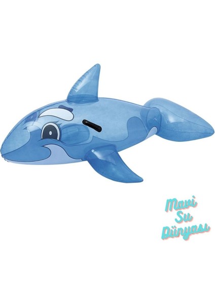 Renkli Balina Temalı Şeffaf Yüzeyli Şişme Havuz, Pompa Hediyeli, 157X94 cm indirimleri